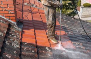Roof Cleaning 